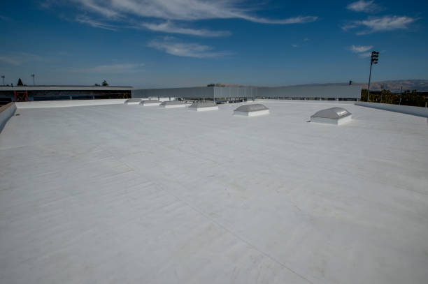 Best Roof Moss and Algae Removal  in Arthur, IL
